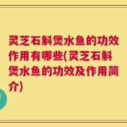 灵芝石斛煲水鱼的功效作用有哪些(灵芝石斛煲水鱼的功效及作用简介)
