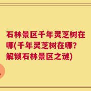 石林景区千年灵芝树在哪(千年灵芝树在哪？解锁石林景区之谜)