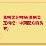 葛根灵芝枸杞(葛根灵芝枸杞：中药配方的良方)