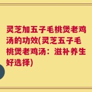 灵芝加五子毛桃煲老鸡汤的功效(灵芝五子毛桃煲老鸡汤：滋补养生好选择)