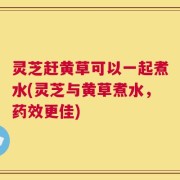 灵芝赶黄草可以一起煮水(灵芝与黄草煮水，药效更佳)