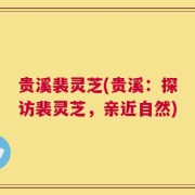 贵溪裴灵芝(贵溪：探访裴灵芝，亲近自然)