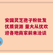 安国灵芝孢子粉批发 优质货源 量大从优欢迎各地商家前来洽谈