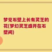 梦见石壁上长有灵芝的花(梦幻灵芝盛开在石壁间)