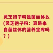 灵芝孢子粉是菌丝体么(灵芝孢子粉：真是来自菌丝体的营养宝库吗？)