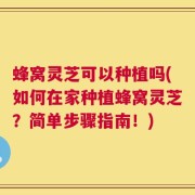 蜂窝灵芝可以种植吗(如何在家种植蜂窝灵芝？简单步骤指南！)