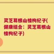 灵芝葛根山楂枸杞子(健康组合：灵芝葛根山楂枸杞子)