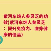 紫河车炖人参灵芝的功效(紫河车炖人参灵芝：提升免疫力、滋养健康的佳品)
