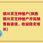 铜川灵芝种植户(陕西铜川灵芝种植户开拓销售新渠道，收益稳定增长)