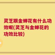 灵芝跟金蝉花有什么功效呢(灵芝与金蝉花的功效比较)