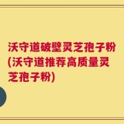 沃守道破壁灵芝孢子粉(沃守道推荐高质量灵芝孢子粉)