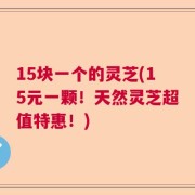 15块一个的灵芝(15元一颗！天然灵芝超值特惠！)