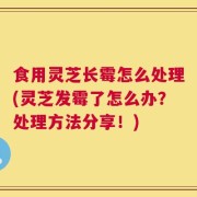 食用灵芝长霉怎么处理(灵芝发霉了怎么办？处理方法分享！)
