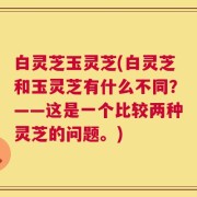 白灵芝玉灵芝(白灵芝和玉灵芝有什么不同？——这是一个比较两种灵芝的问题。)