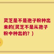 灵芝是不是孢子粉种出来的(灵芝不是从孢子粉中种出的？)
