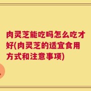 肉灵芝能吃吗怎么吃才好(肉灵芝的适宜食用方式和注意事项)
