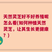 天然灵芝好不好养殖呢怎么看(如何种植天然灵芝，让其生长更健康？)