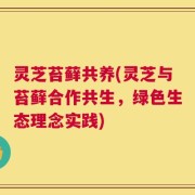 灵芝苔藓共养(灵芝与苔藓合作共生，绿色生态理念实践)