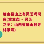 确山县山上有灵芝吗现在(重生态 ~ 灵芝之乡：山西省确山县寻林献寿)