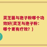 灵芝菌与孢子粉哪个功效好(灵芝与孢子粉：哪个更有疗效？)