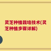 灵芝种植栽培技术(灵芝种植步骤详解)