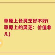 草原上长灵芝好不好(草原上的灵芝：价值非凡)