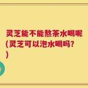 灵芝能不能熬茶水喝呢(灵芝可以泡水喝吗？)