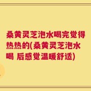 桑黄灵芝泡水喝完觉得热热的(桑黄灵芝泡水喝 后感觉温暖舒适)