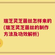 瑞芝灵芝菌丝怎样来的(瑞芝灵芝菌丝的制作方法及功效解析)