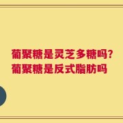 葡聚糖是灵芝多糖吗？葡聚糖是反式脂肪吗