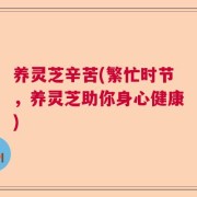 养灵芝辛苦(繁忙时节，养灵芝助你身心健康)