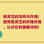 薇灵芝的功效与作用(探究薇灵芝的药理作用，认识它的健康功效)