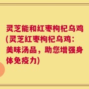 灵芝能和红枣枸杞乌鸡(灵芝红枣枸杞乌鸡：美味汤品，助您增强身体免疫力)