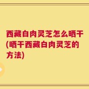 西藏白肉灵芝怎么晒干(晒干西藏白肉灵芝的方法)