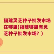 福建灵芝种子批发市场在哪里(福建哪里有灵芝种子批发市场？)