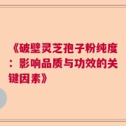 《破壁灵芝孢子粉纯度：影响品质与功效的关键因素》