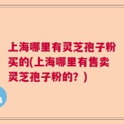 上海哪里有灵芝孢子粉买的(上海哪里有售卖灵芝孢子粉的？)