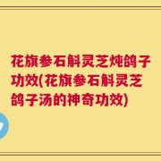 花旗参石斛灵芝炖鸽子功效(花旗参石斛灵芝鸽子汤的神奇功效)