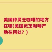 美国种灵芝咖啡的地方在哪(美国灵芝咖啡产地在何处？)