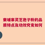 柬埔寨灵芝孢子粉的品质特点及功效究竟如何