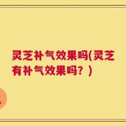 灵芝补气效果吗(灵芝有补气效果吗？)