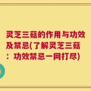 灵芝三菇的作用与功效及禁忌(了解灵芝三菇：功效禁忌一网打尽)