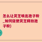 怎么让灵芝喷出孢子粉_如何促使灵芝释放孢子粉)