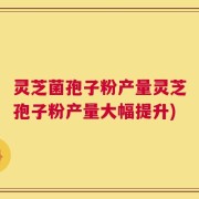 灵芝菌孢子粉产量灵芝孢子粉产量大幅提升)