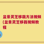 盆景灵芝移栽方法视频(盆景灵芝移栽视频教程