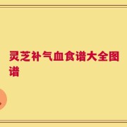 灵芝补气血食谱大全图谱