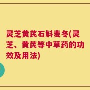 灵芝黄芪石斛麦冬(灵芝、黄芪等中草药的功效及用法)