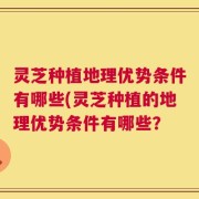 灵芝种植地理优势条件有哪些(灵芝种植的地理优势条件有哪些？