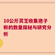 10公斤灵芝收集孢子粉的数量探秘与研究分析