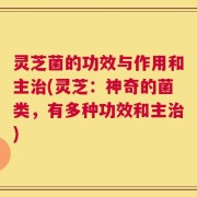 灵芝菌的功效与作用和主治(灵芝：神奇的菌类，有多种功效和主治)